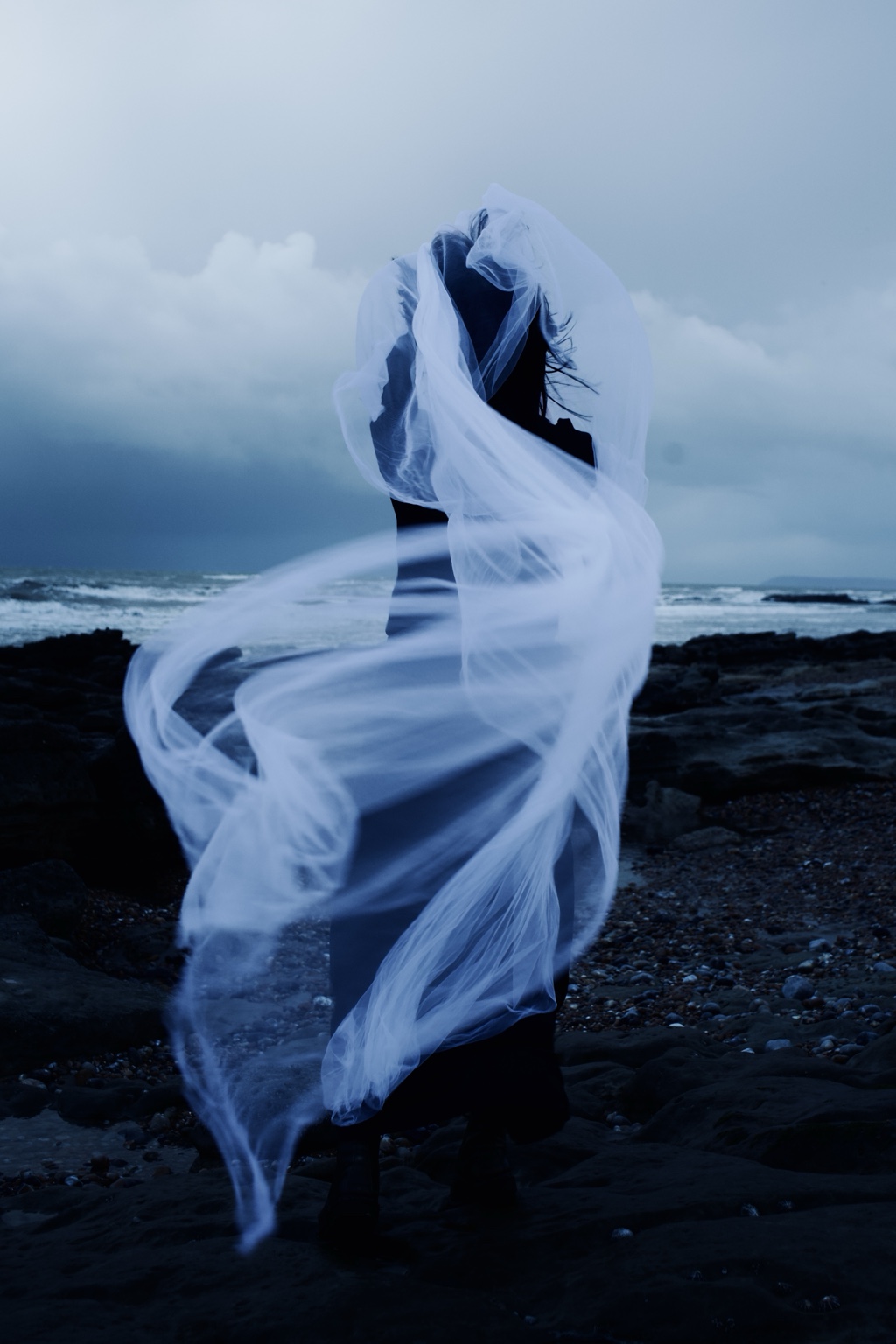 Dance with the Wind