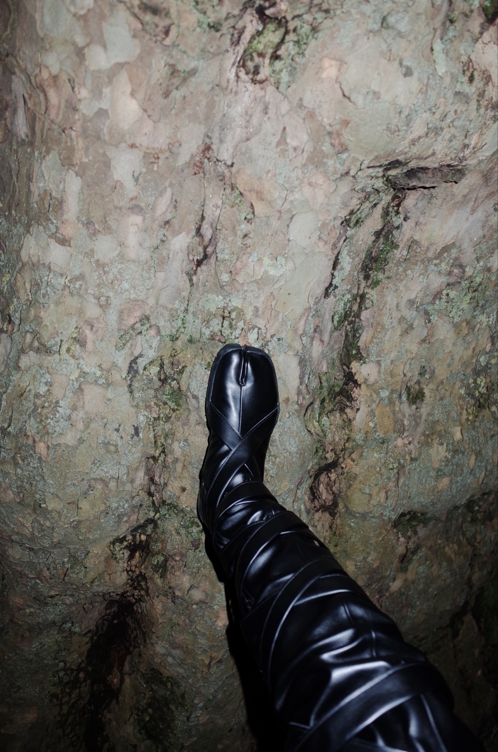 Boot pressing against tree bark, London, 16 February 2024