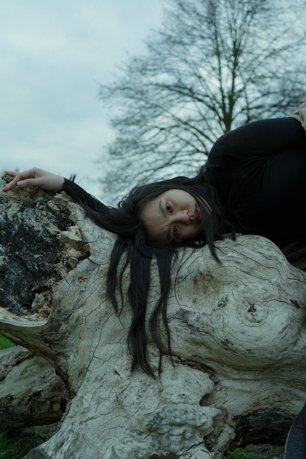Body resting across the surface of a fallen tree, London, 23 April 2024