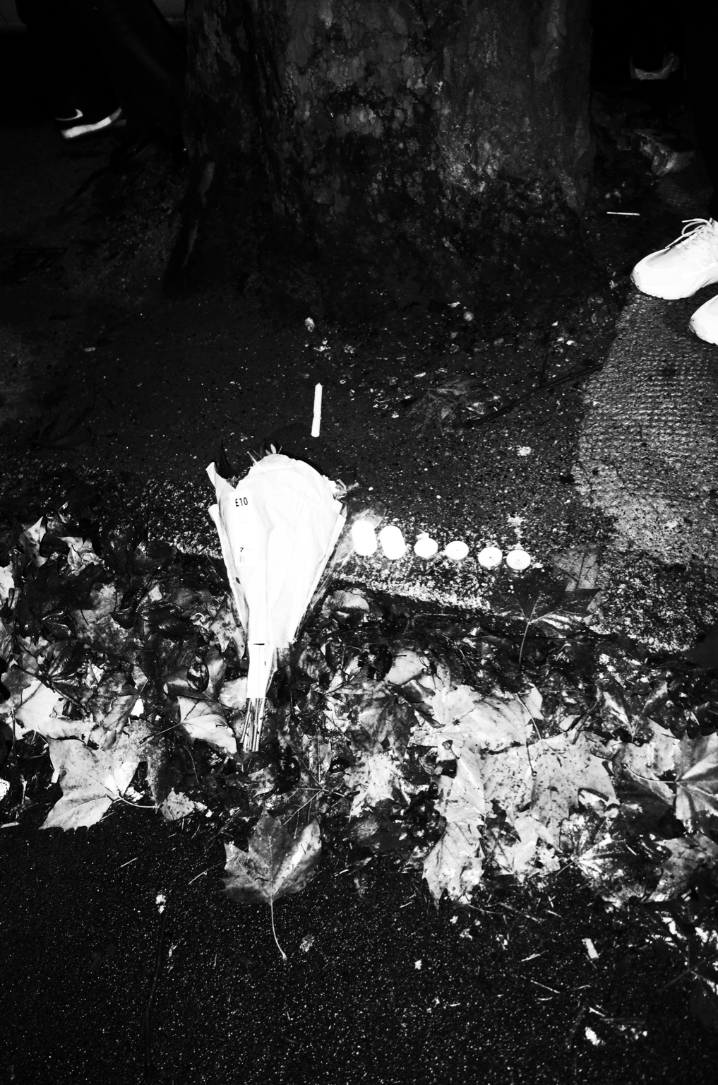 Flowers and candles at the base of a tree, London, 27 November 2022